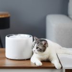 فواره آب هوشمند پتکیت Eversweet 3 Pro - تصویر 13